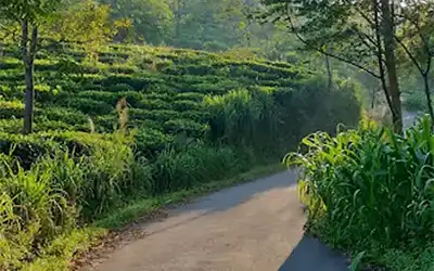 Latpanchar Tour Plan for 3 Days