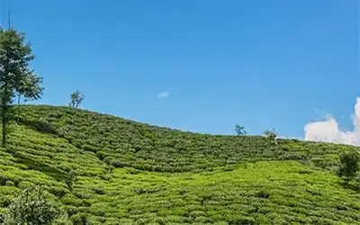 Latpanchar Chatakpur Tinchuley Tour Package