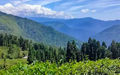 Chota Mangwa Darjeeling Offbeat Tour Package