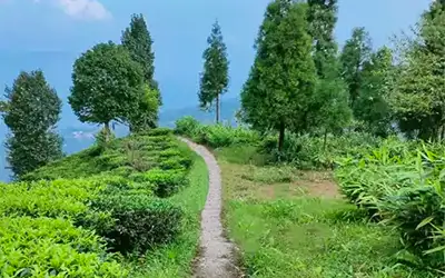 Kalimpong Rangli Rangliot Tinchuley Tour Plan