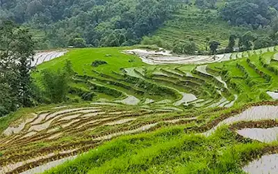 Tranquil Sikkim Countryside