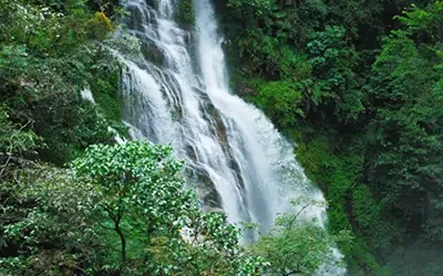 Majitar & West Sikkim Discovery