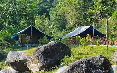 Dooars Nature & Hilltop Stay