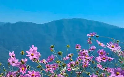 Daragaon & Icchey Gaon Serenity