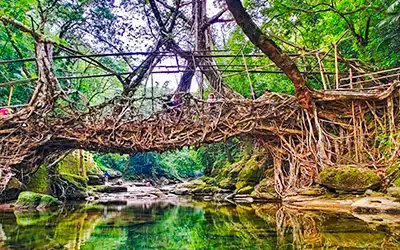 Discover Stunning Shillong!