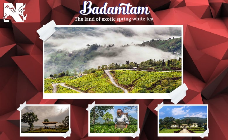 Badamtam, an offbeat destination of Darjeeling