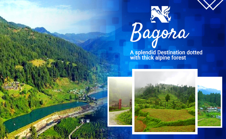 Bagora Kurseong, an offbeat destination of Darjeeling