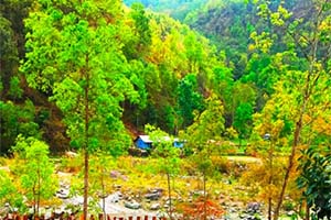 Bidyang