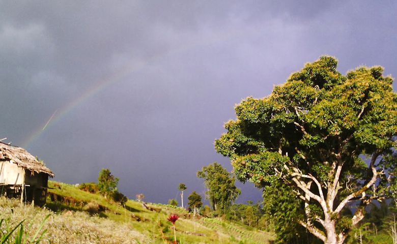 Borong, an offbeat destination of Sikkim