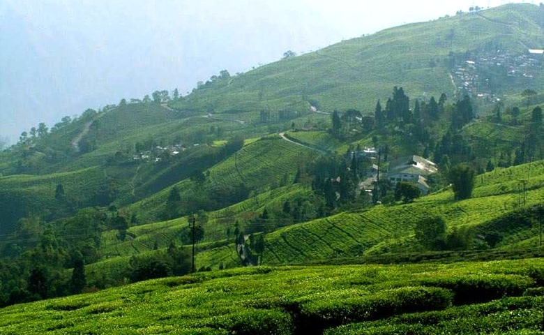 Bunkulung, an offbeat destination of Darjeeling