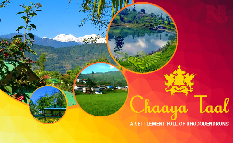 Chaaya Taal, an offbeat destination of Sikkim