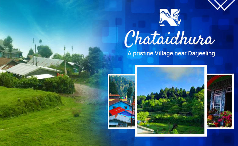 Chataidhura, an offbeat destination of Darjeeling