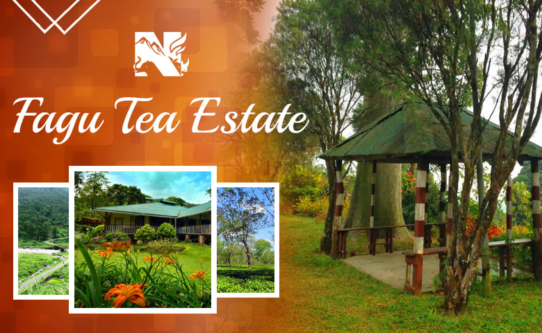 Fagu Tea Estate, an offbeat destination of Dooars