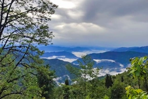 Goiri Gaon