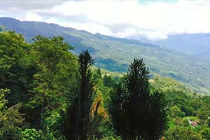 Mayrong Gaon