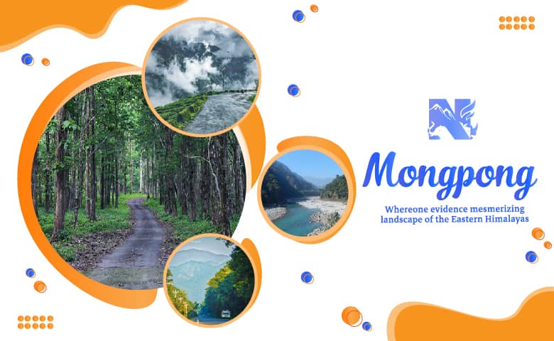 Mongpong, an offbeat destination of Dooars