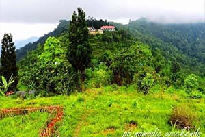 Nimbong