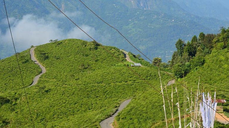 Are you a Nature Lover - visit Takdah, an offbeat destination of Darjeeling
