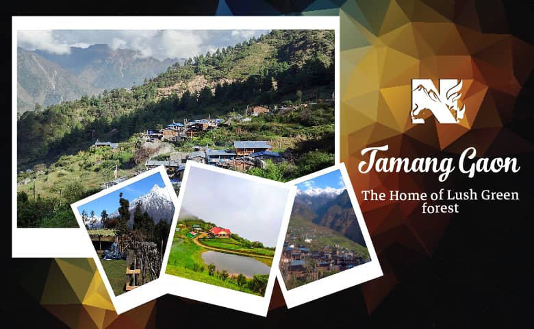 Tamang Gaon, an offbeat destination of Darjeeling