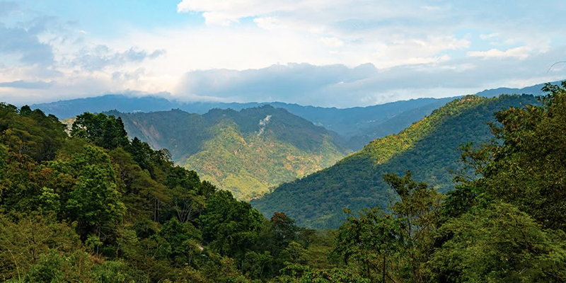 Hero image for bunkulung