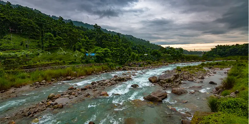 Hero image for dalim-khola