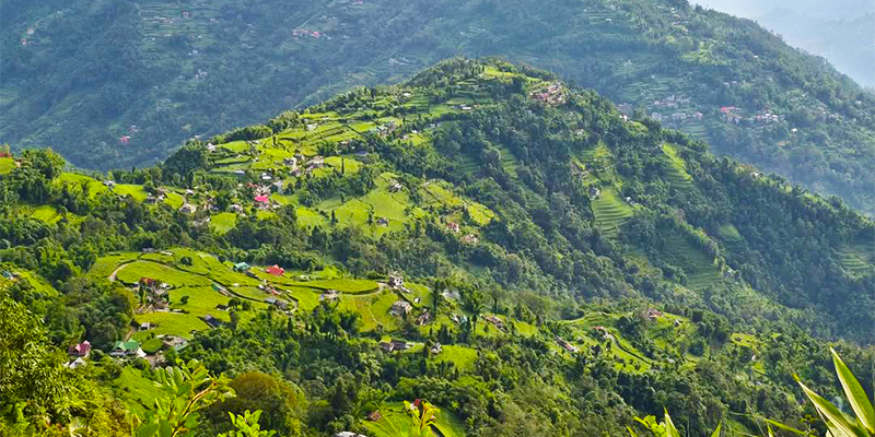 lamagaon