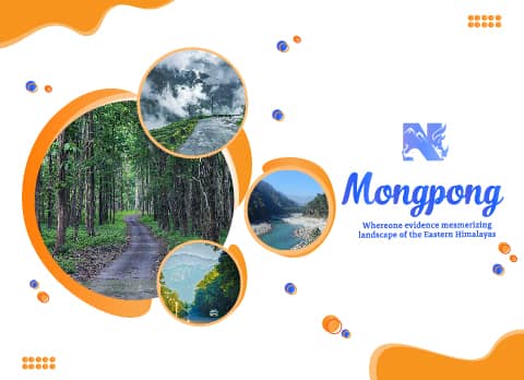 Mongpong , offbeat destination in Dooars