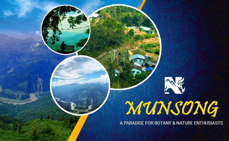 Munsong - Offbeat Destination in Kalimpong
