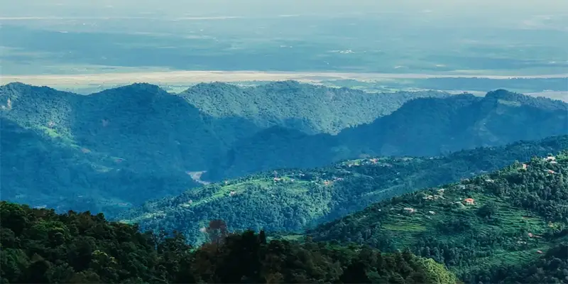 Hero image for nimbong