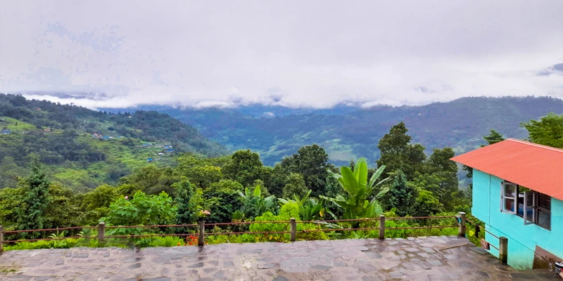 Hero image for pabong