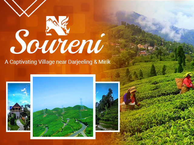 Soureni Village near Mirik, Soureni Tea Estate - North Bengal Tourism