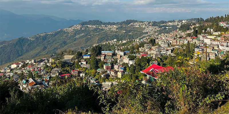 Hero image for srikhola