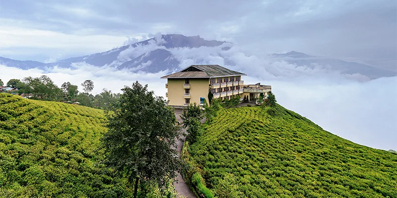 Hero image for temi-tea-garden