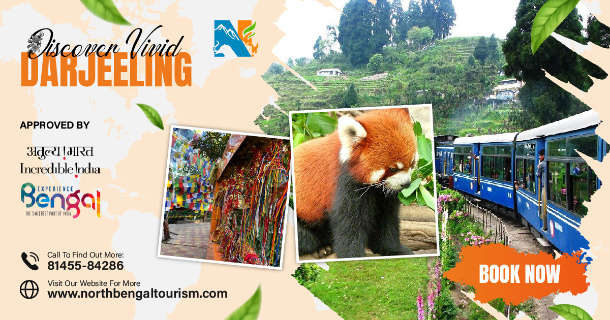 darjeeling tour packages under 5000