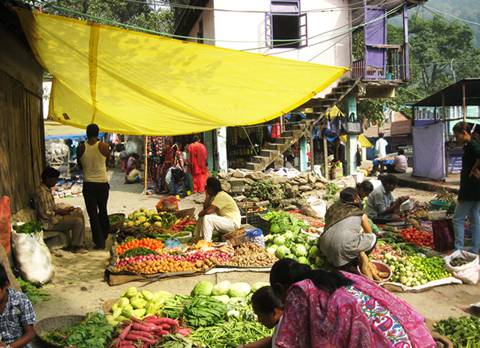 Teesta Bazar