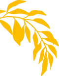 Yellow Leave