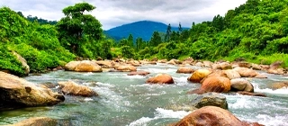 Samsing