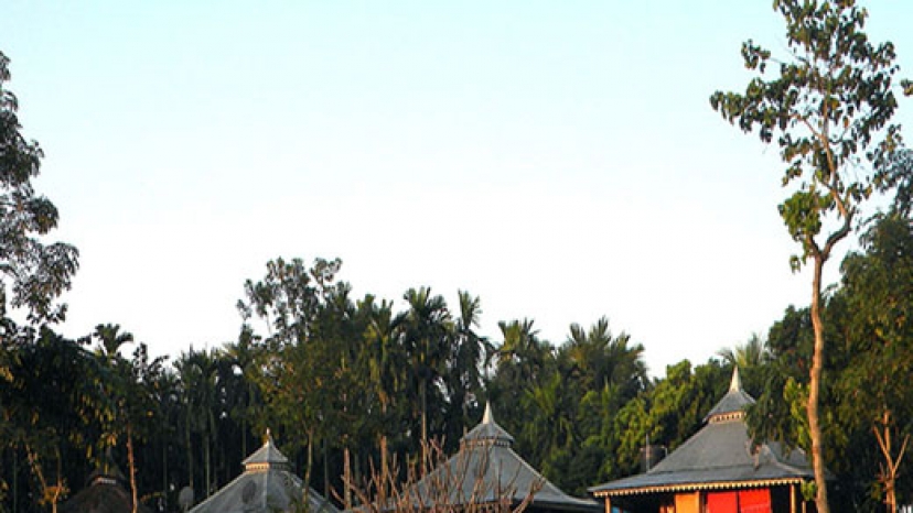 Rhino Resort