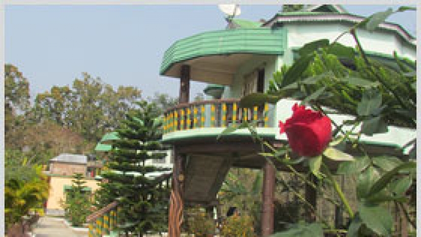 resort chilapata green