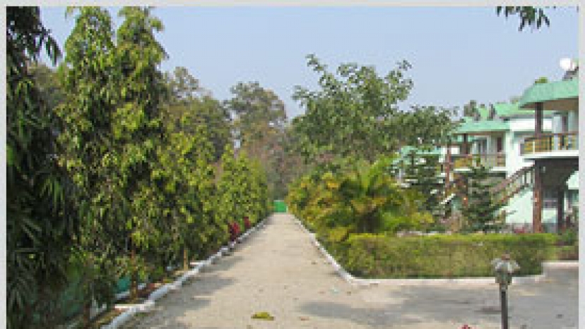 resort chilapata green