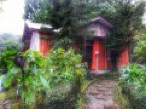 Book Non-AC Deluxe Cottage at Wild Flower Retreat, Sikkim