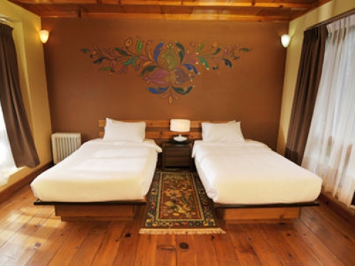 Superior Deluxe Non-AC Room