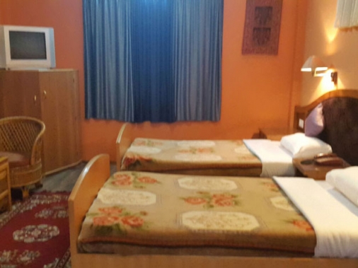 Book Non-AC Exclusive Cottages at The Bliss Village Resort, Sikkim