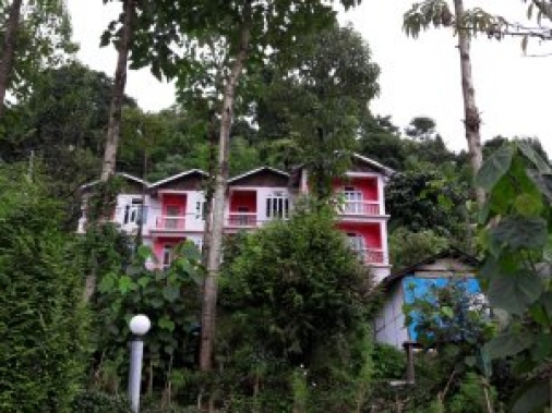 Book Non-AC Deluxe Room at Wild Flower Retreat, Sikkim